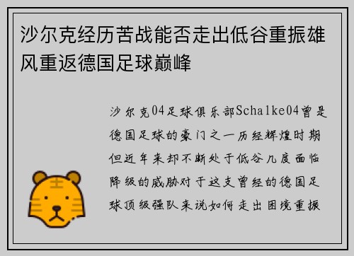 沙尔克经历苦战能否走出低谷重振雄风重返德国足球巅峰