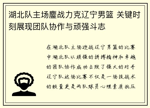 湖北队主场鏖战力克辽宁男篮 关键时刻展现团队协作与顽强斗志